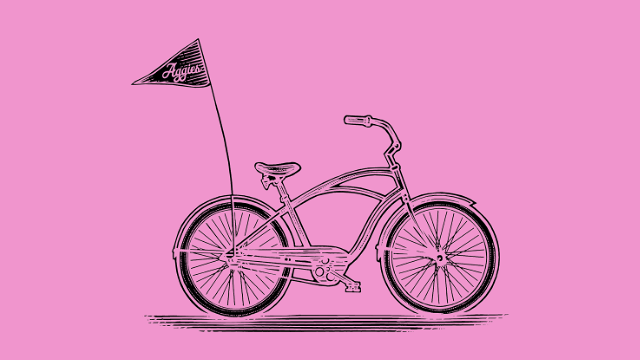 Aggie bike with purple background