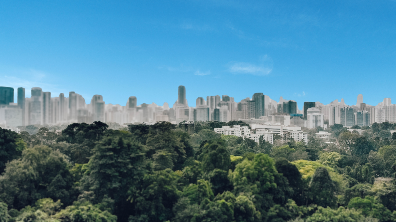 Singapore skyline behind urban greenspace.