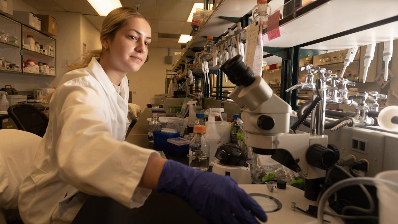 UC Davis student in research lab