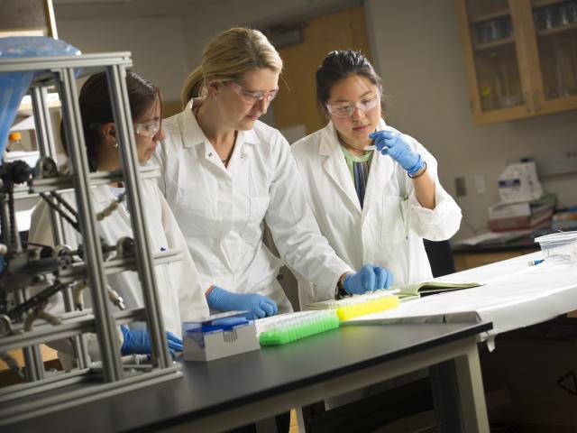 two women in lab coats looking at samples