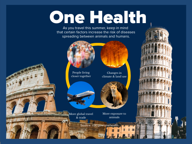 One Health graphic showing the connection between animal and human health
