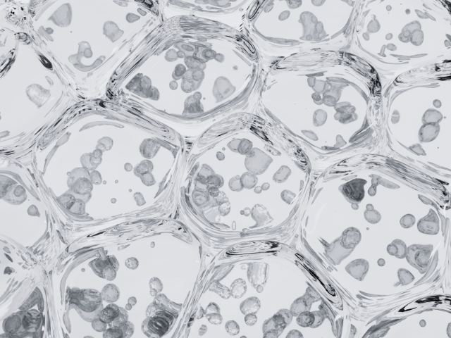 Nano chlorophyl biotech graphic
