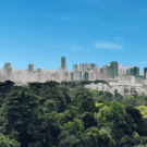 Singapore skyline behind urban greenspace.