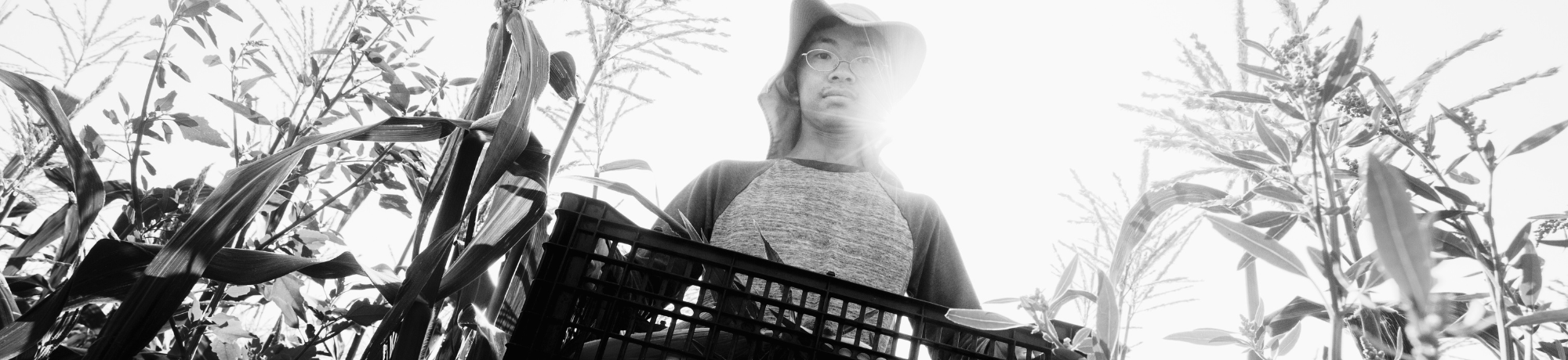 UC Davis student farmer